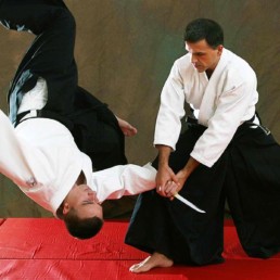 Clases de Aikido en N3 Bilbao